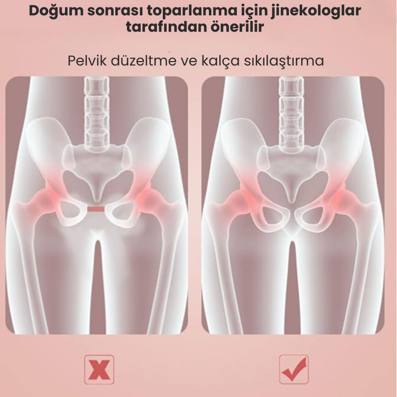 Coreva Pelvic Trainer